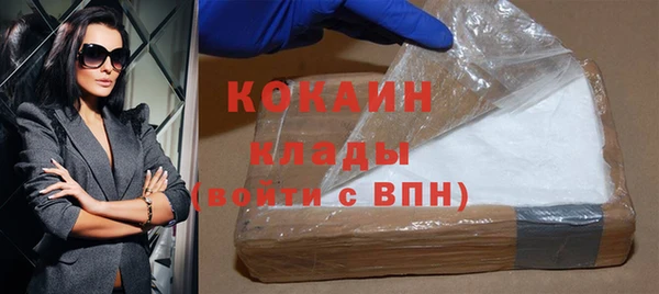 дмт Гусев