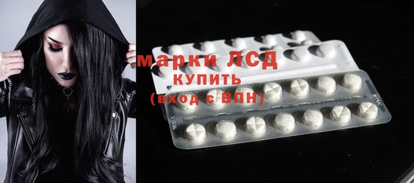 дмт Гусев