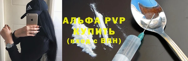 дмт Гусев