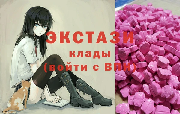 дмт Гусев