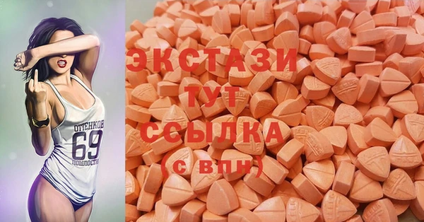 дмт Гусев