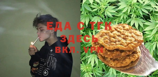 дмт Гусев
