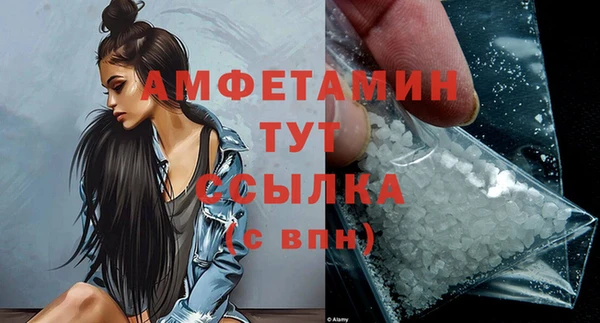 дмт Гусев