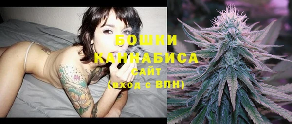дмт Гусев