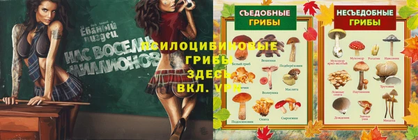 первитин Гусь-Хрустальный