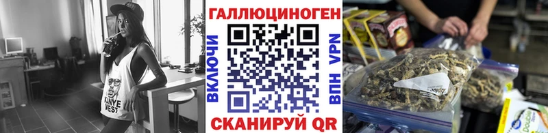 Купить  Балахна  Псилоцибиновые грибы Psilocybe 