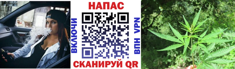 Купить где  Балахна  Канабис сатива 